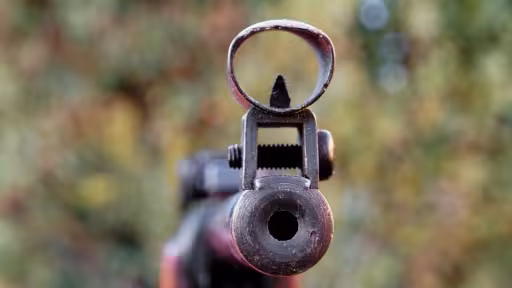 arma-pusca.jpg