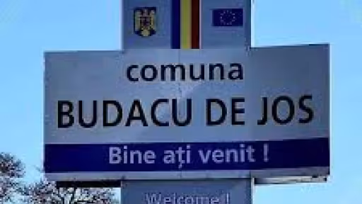 budacudejos.jpg