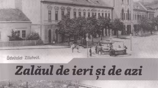 revistacaietesilvanenr72020.png