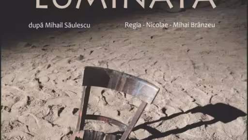 afisstalumini.jpg