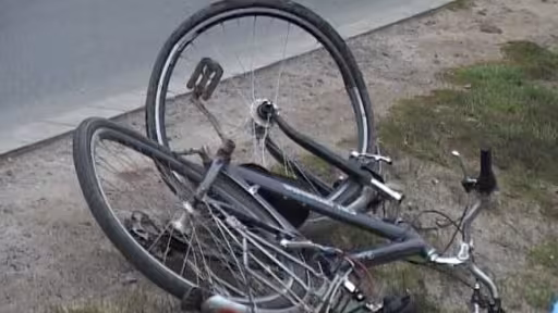 bicvi.jpg