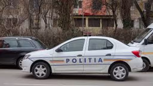 pol.jpg