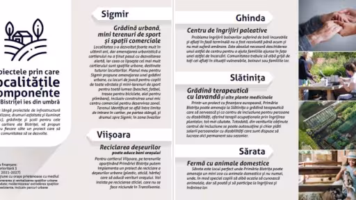 proiectepentrulocalitatilecomponente.jpg