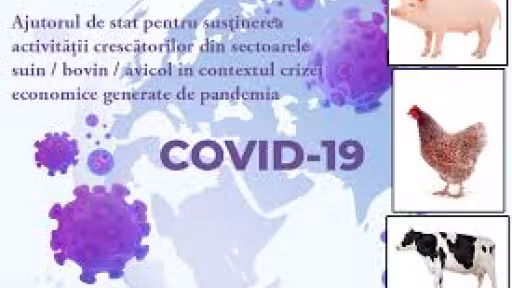 covid.jpg