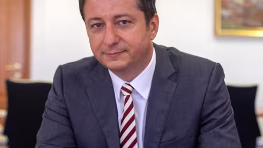 danarmeanuvicepresedinteasf.jpg