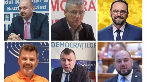 pozaarticolcandidatibn.jpeg