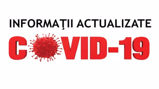 v.png
