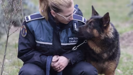 vela-infiinteaza-politia-animalelor-cei-care-le-pun-viata-pericol-vor-fi-sanctionati-min.jpg