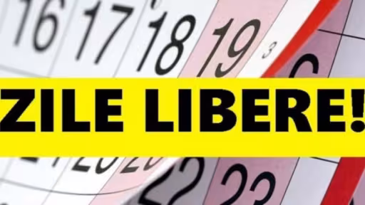 libere-768x403.jpg