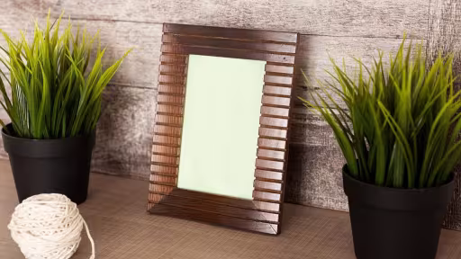 figodecorrasunetulro.jpg