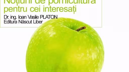lansaredecarte-dlioanplaton.jpg