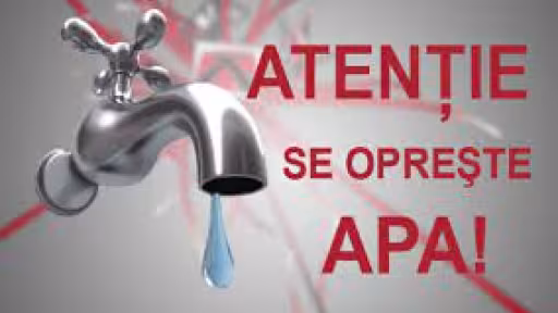 apa.jpg