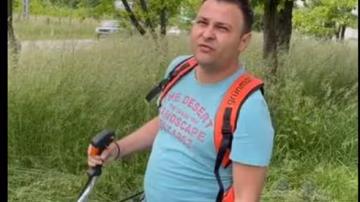 dani1.jpg