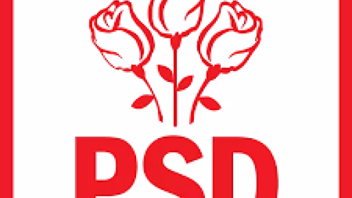 psd.png
