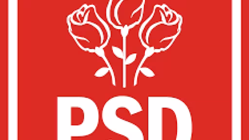 psd.png