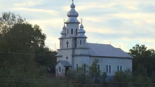 bidiu.jpg