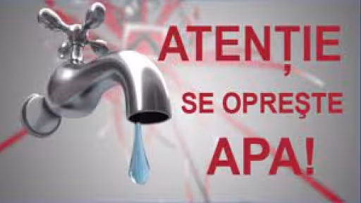 apa.jpg