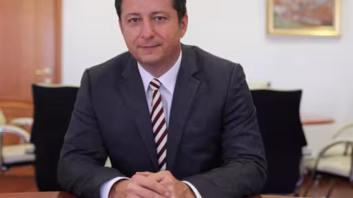 danarmeanu-vicepresedinteasf.jpg