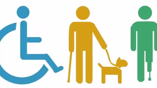 disability-partnership.jpg