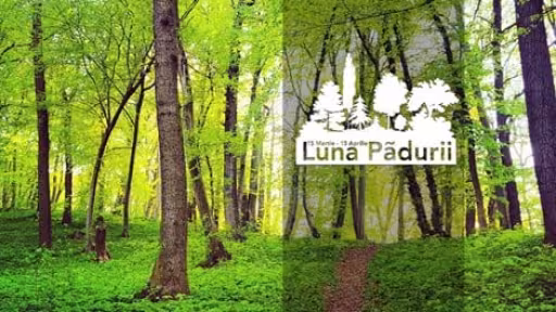 padutre.jpg
