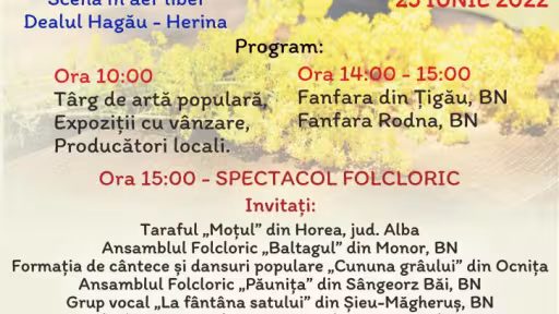galatiibistritei2022afis.jpg