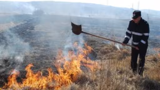 incendiu-vegetatie.jpg