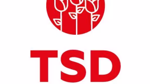tsd.jpg