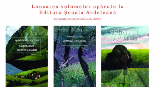 andreimoldovanbiblafisa3print-1.jpg