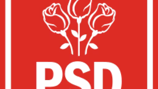 psd.png