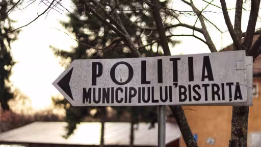 poli.jpeg