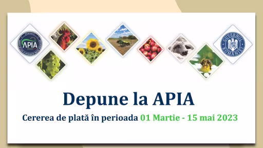 apia.jpg