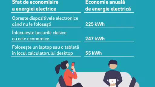 eoneconomisesteenergieincameradezi2.png