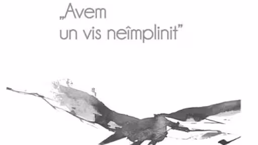 vis.jpg
