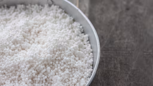 vecteezydry-tapioca-pearls-make-dessert-thailand-call-sago-in1431640772.jpg