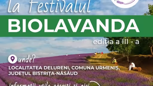 lavanda.jpg