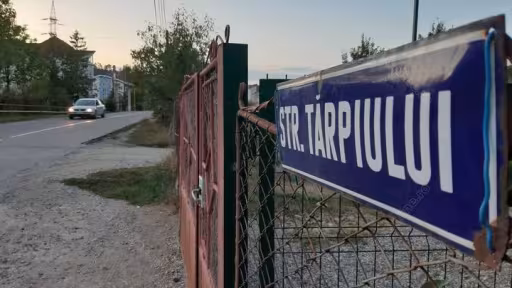 tarp.jpg