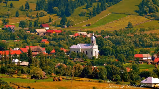 lunca.jpg