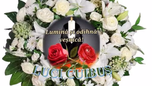luci.jpg