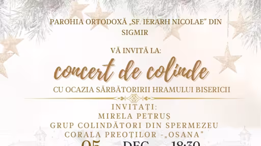 concert.jpeg