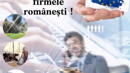 fin.jpg