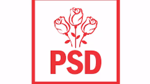 psd1.jpg