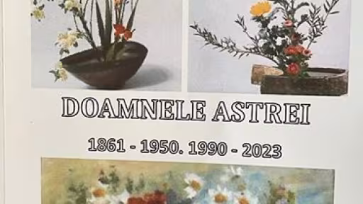 astra.jpg