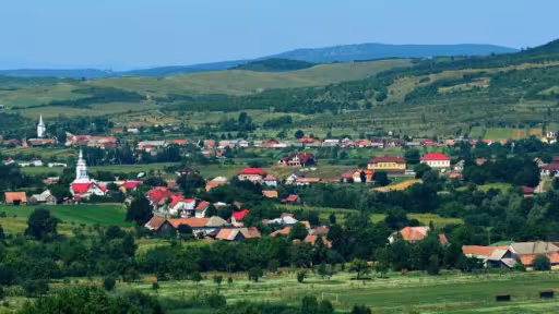 budus1.jpg