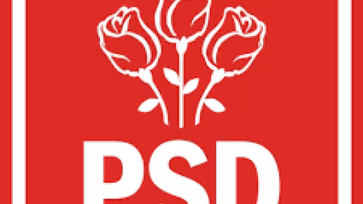 psd16.jpg