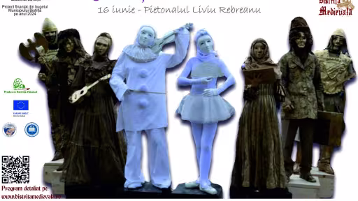 bistritavivanta-afis.jpg