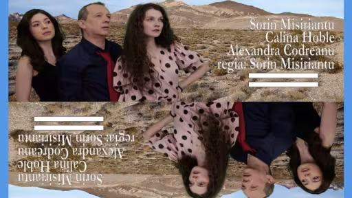 vis.jpeg