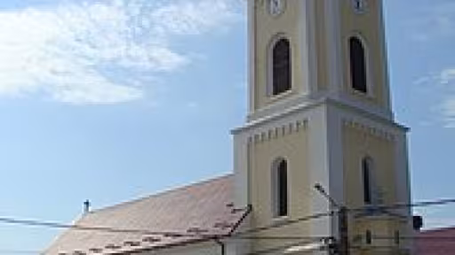 195px-robnorheiubistritei3.jpg