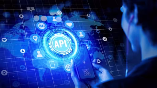 api.jpg