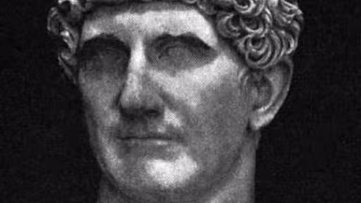 mantonius.jpg