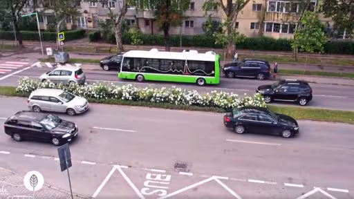 verde1.jpg